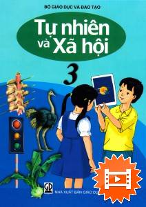 hệ thống tuần hoàn và hô hấp - Lớp 3 - Quizizz