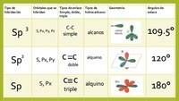 hibridación del carbono