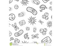 bakterie i archeony - Klasa 8 - Quiz