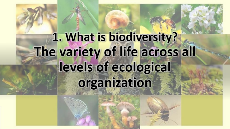 Biodiversity And Conservation | Science - Quizizz