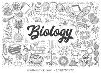 behavioral biology - Class 7 - Quizizz
