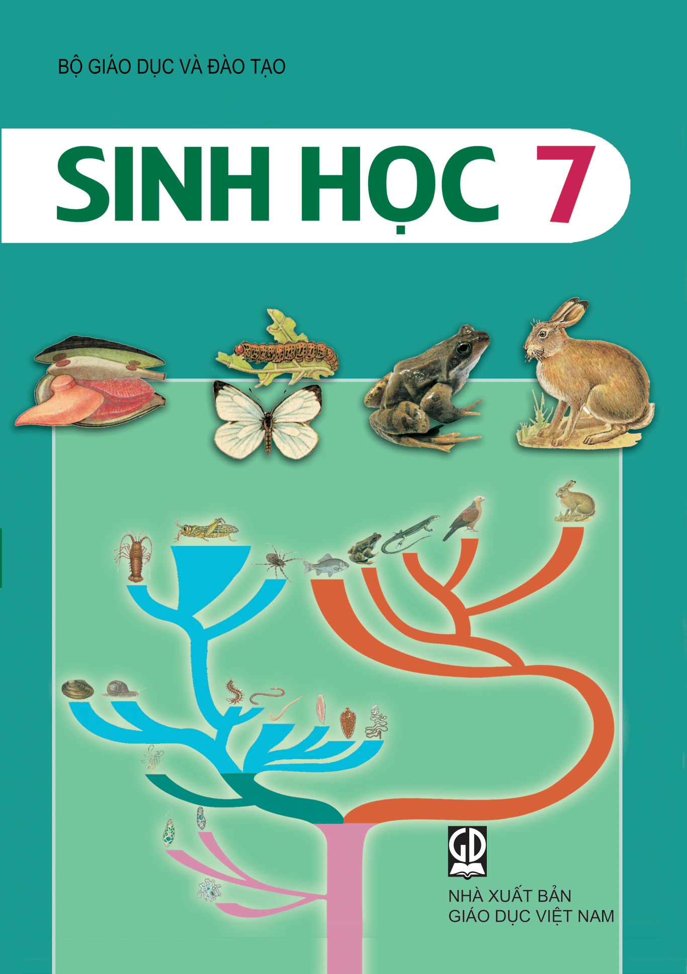 sinh học phát triển - Lớp 8 - Quizizz