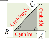 các tỉ số lượng giác sin cos tan csc sec và cot - Lớp 1 - Quizizz