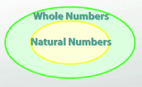 chromosome structure and numbers - Class 6 - Quizizz