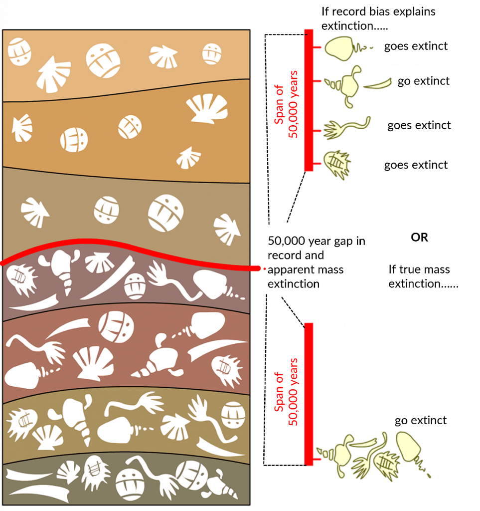 The Geological Time Scale questions & answers for quizzes and tests