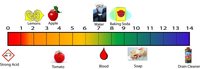 acid base reactions - Year 3 - Quizizz