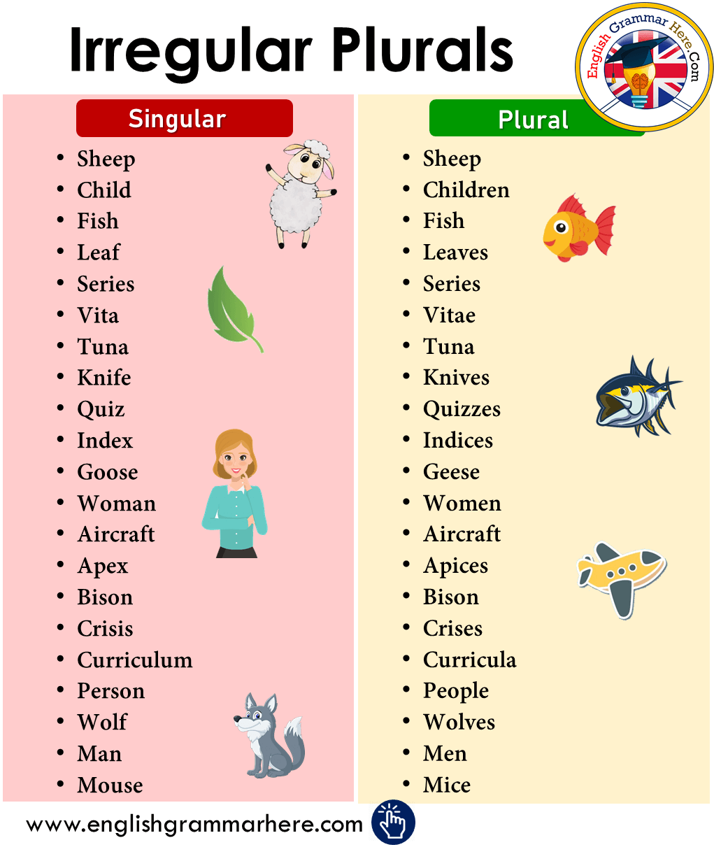 A Quiz Game for Plurals - Plural Nouns in Sentences