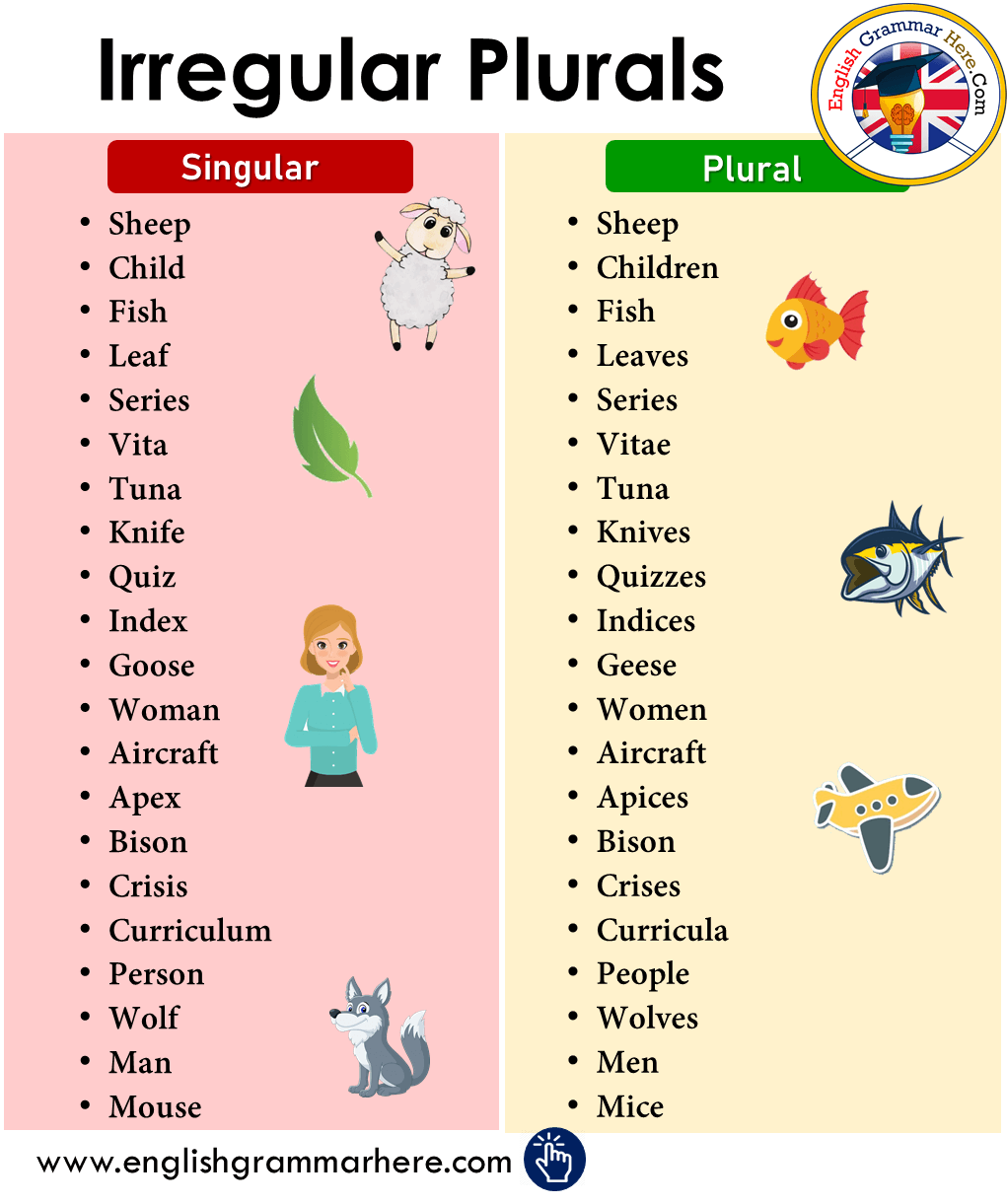 Irregular Plural Forms - Year 10 - Quizizz