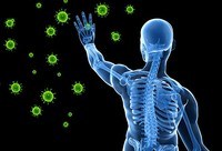 the immune system - Class 8 - Quizizz