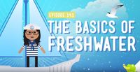 The Basics - Year 5 - Quizizz