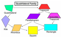 properties of quadrilaterals Flashcards - Quizizz