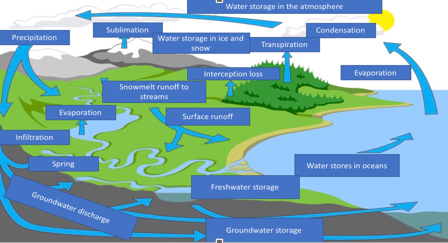 Water And Carbon Cycle 