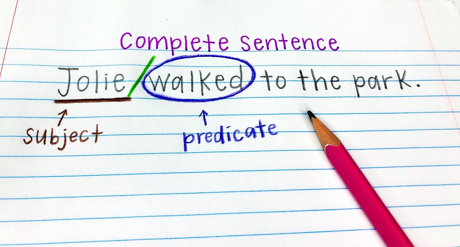 The Basic Sentence - Subjects and Verbs | English - Quizizz