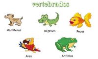 Los animales vertebrados