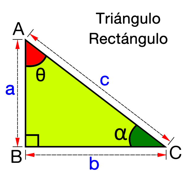 Área - Grado 11 - Quizizz