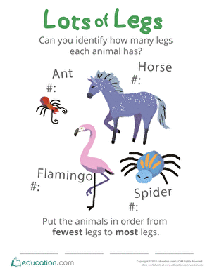 Number of Legs of Animals