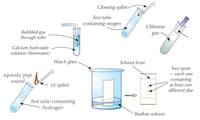 chemical equilibrium - Year 7 - Quizizz