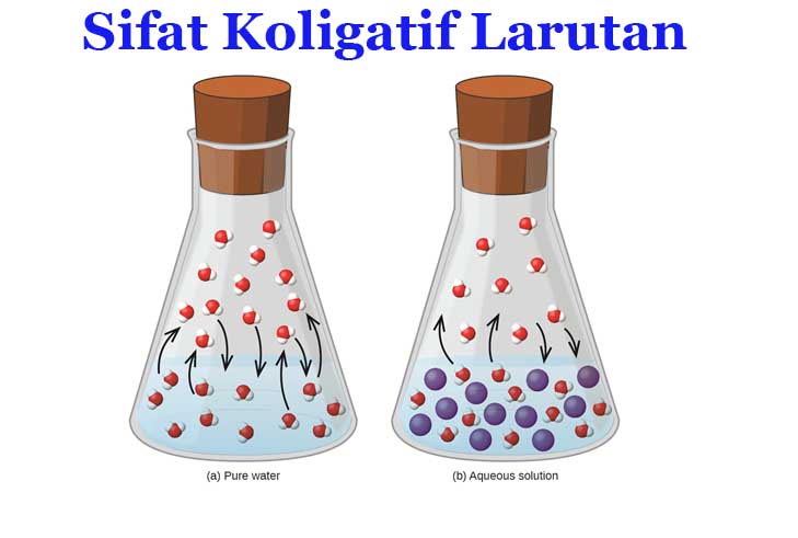 Geografi - Kelas 3 - Kuis