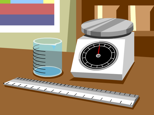 Measuring Weight - Grade 8 - Quizizz