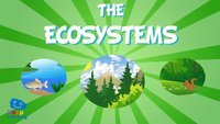 ecosystems - Grade 3 - Quizizz