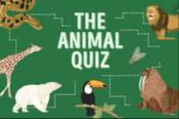 animal adaptations - Grade 10 - Quizizz