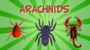 Arachnids