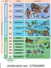 vertebrates and invertebrates - Class 11 - Quizizz