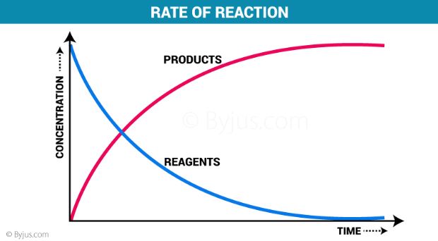 acid base reactions - Grade 6 - Quizizz