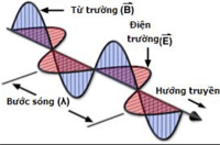 Ngữ âm - Lớp 12 - Quizizz