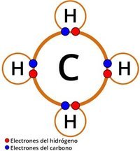 propiedades del carbono - Grado 10 - Quizizz