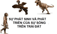 lịch sử sự sống trên trái đất - Lớp 12 - Quizizz