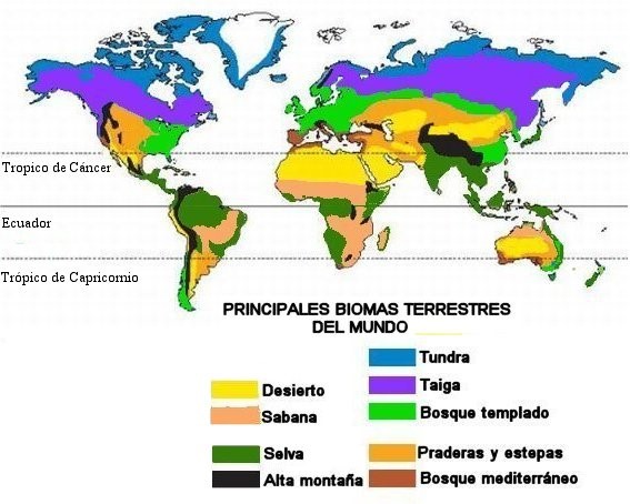 historia del mundo antiguo - Grado 5 - Quizizz