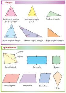 properties of quadrilaterals - Class 6 - Quizizz