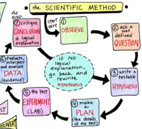 probabilidad experimental - Grado 5 - Quizizz