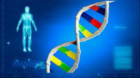 Mutación genética - Grado 11 - Quizizz