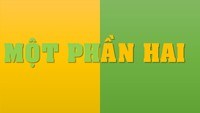 Phân số là bộ phận của một tập hợp - Lớp 3 - Quizizz