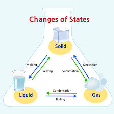 Phases of Matter | General Science Quiz - Quizizz