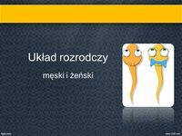 układ rozrodczy Fiszki - Quizizz