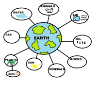 Dobór naturalny i adaptacje - Klasa 3 - Quiz