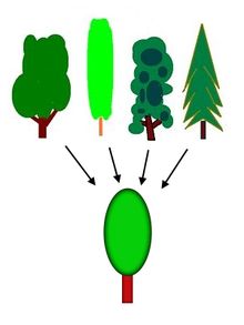 ACTIVITY 12 (hyponyms and hypernyms)