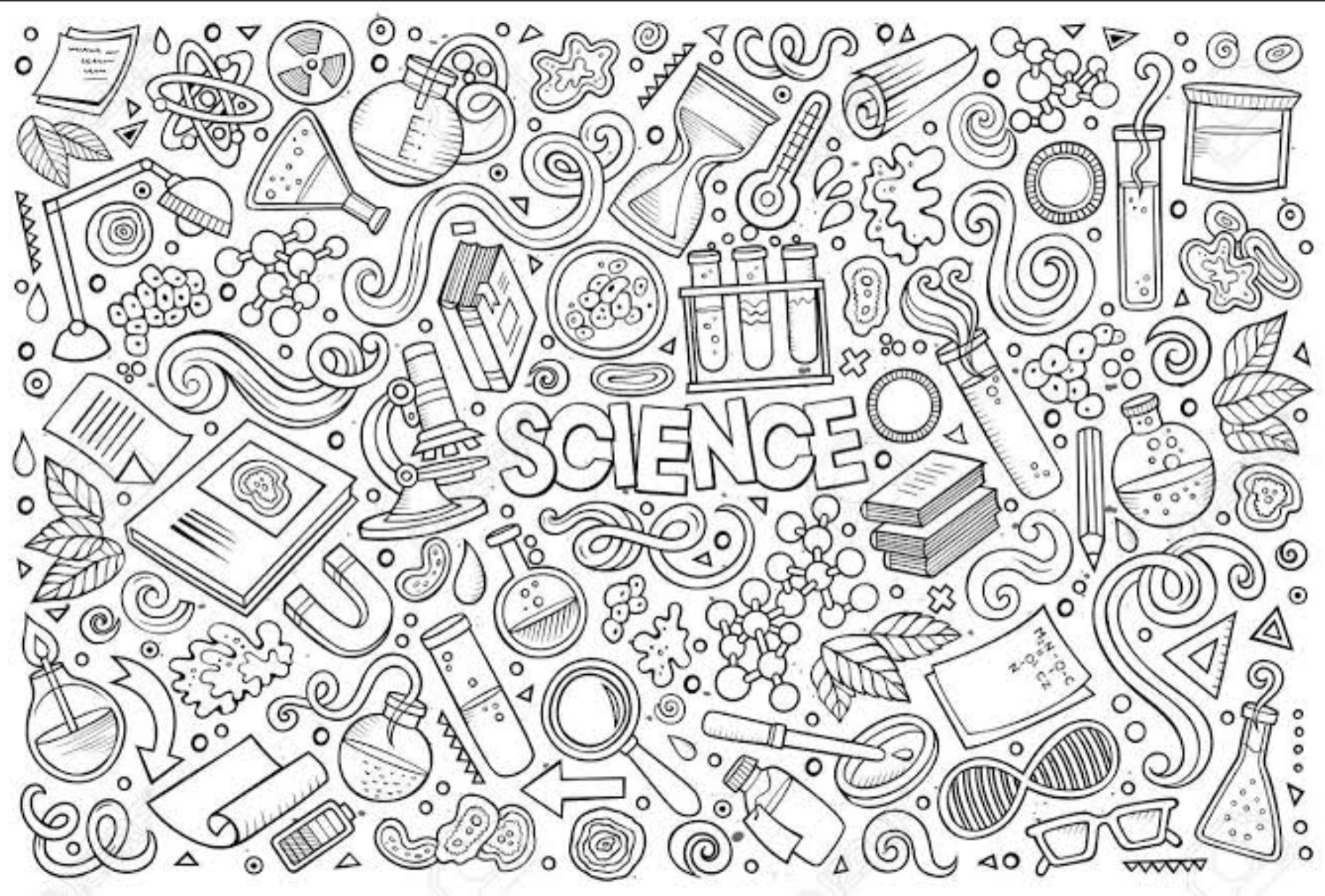 rna and protein synthesis - Class 5 - Quizizz