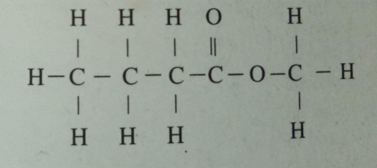 Sebatian Karbon F5 Chemistry Quiz Quizizz