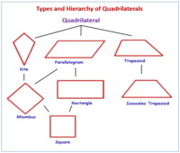 Identifying Three-Digit Numbers - Grade 12 - Quizizz