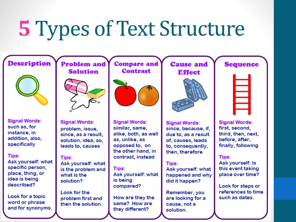 Text Features In Informational Texts