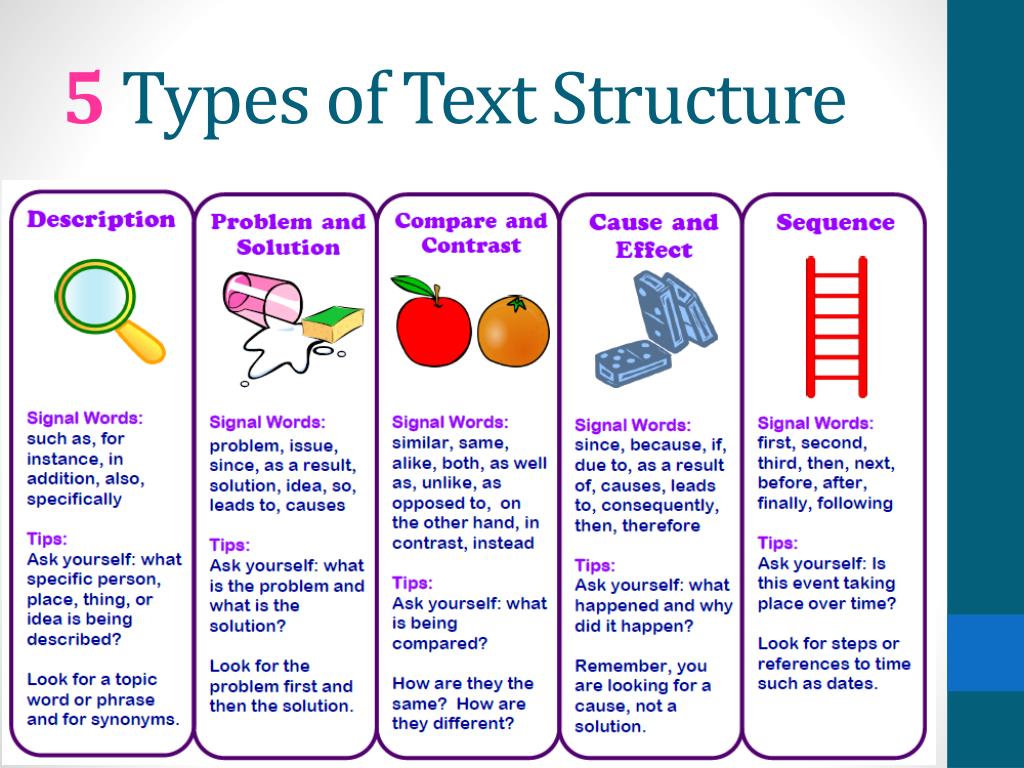 Text Structure English Quizizz