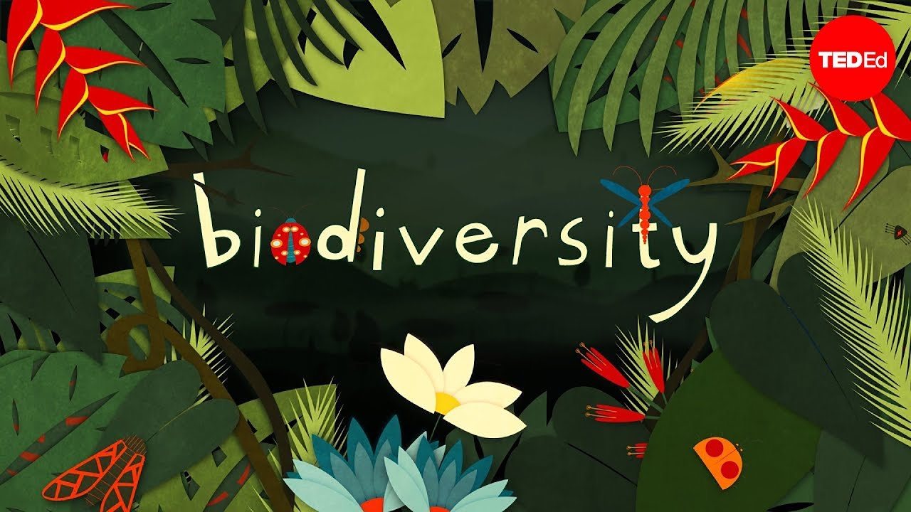 Bab 1 Biodiversiti  Science Quiz - Quizizz