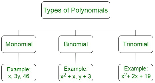 CBSE Mathematics Grade 10 Polynomials Practice Questions | Quizizz