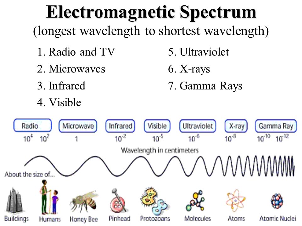 ACP Electromagnetic Spectrum | Science - Quizizz