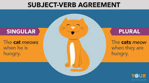 Subject-Verb Agreement - Class 7 - Quizizz