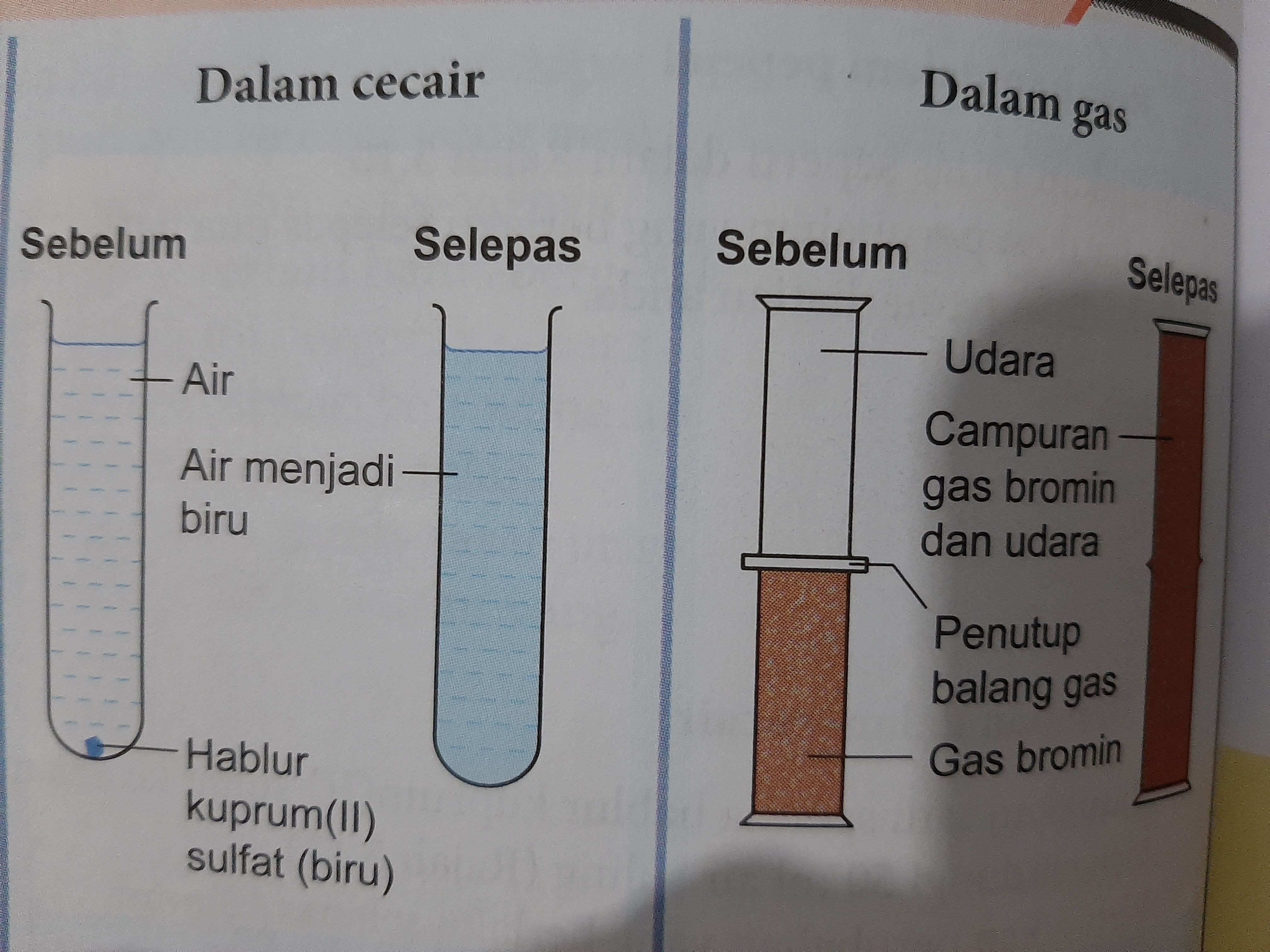 Kadar Resapan Science Quizizz